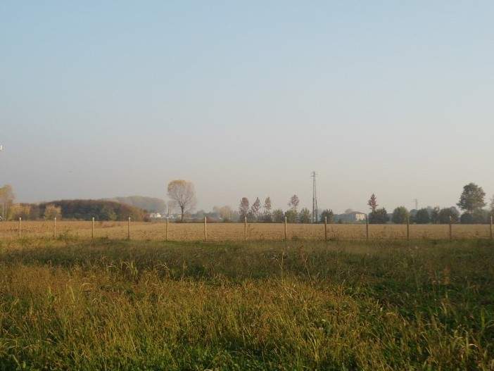 CERVARESE S. CROCE (PD) TERRENO AGRICOLO (6 CAMPI)